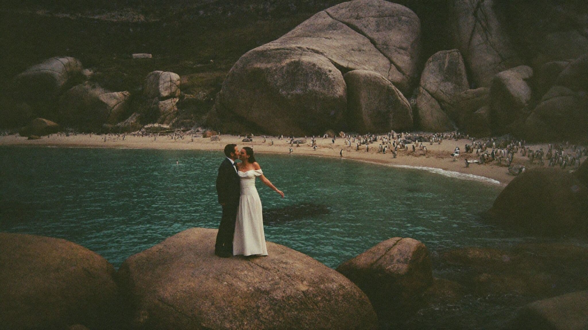 Newlyweds on the Boulders Beach boardwalk with African penguins, Cape Town elopement