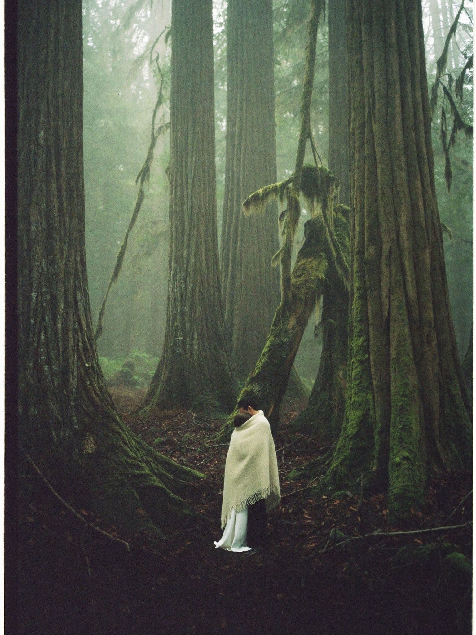 Eloping couple wrapped in a blanket in a foggy Washington evergreen forest